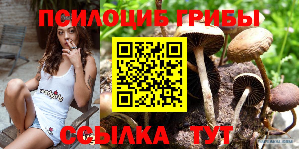Галлюциногенные грибы MAGIC MUSHROOMS Владикавказ