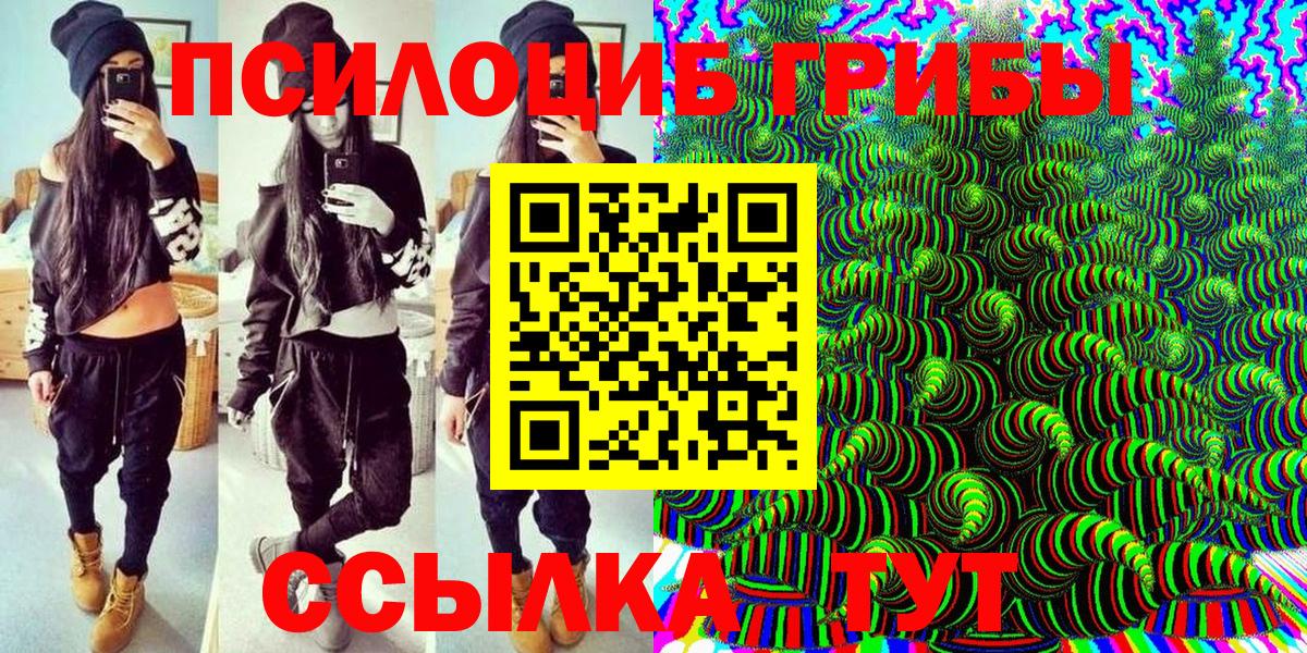 Псилоцибиновые грибы прущие грибы  Псилоцибиновые грибы Cubensis  Вход с VPN  Владикавказ 